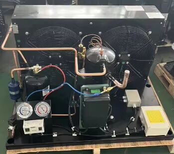 Александр Торри