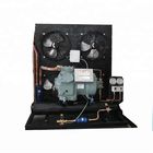 06NW2250S7NA Air Cold Storage Compressor , Air Conditioner Compressor Common Platform 104mm Diameter Drive Rotor