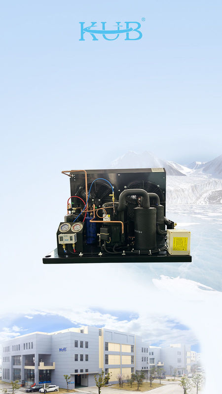 TAG2516Z компрессор Tecumseh холодильный блок морозильный блок r404a конденсационный блок для прогулки в холодильной комнате