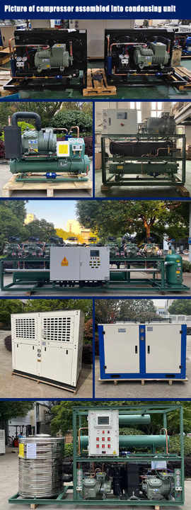 От 2 до 50 л.с. Произведено в Китае Поддержка индивидуального дешевого холодильного хранилища холодильного компрессора полугерметический поршневый компрессор,холодное хранилище компрессор,холодное хранилище система,промышленное холодильное хранилище