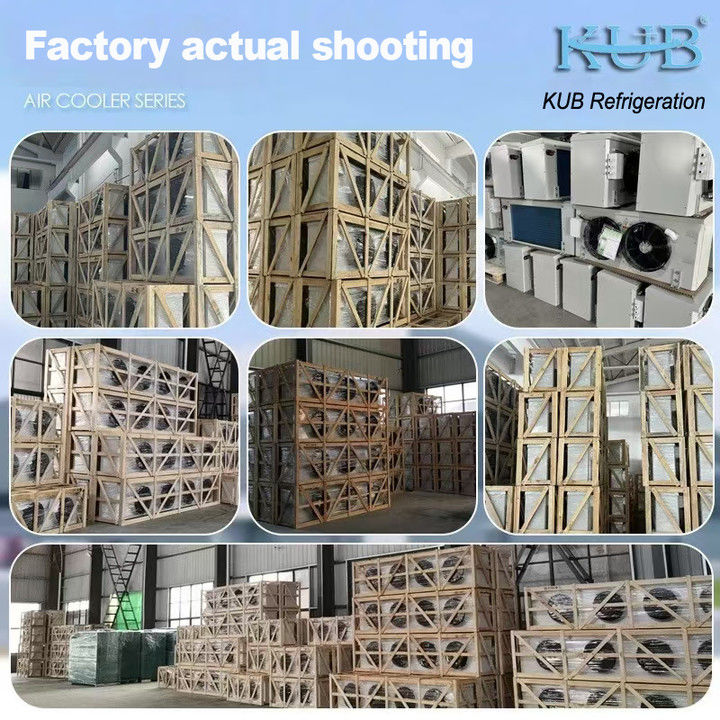 Серия DL, охладитель DL22, сертификация CE, индивидуальный воздухоохладитель, испаритель для холодильной камеры 3 л.с., потолочный испаритель, подходит для холодильных складов, холодильных камер, овощехранилищ.