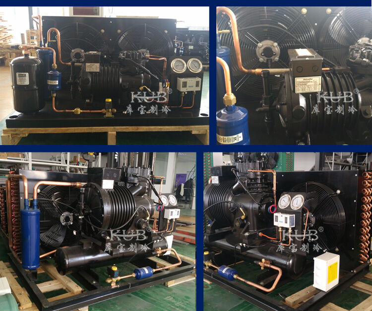 Надежный холодильный агрегат для холодильных камер с полугерметичным компрессором BFS81, простой в эксплуатации