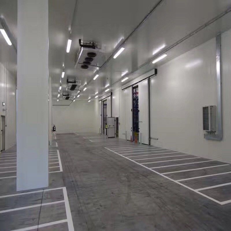 Новая комната холодильных установок для воздушного охладителя холодной комнаты беаф картошки мяса вегетабле