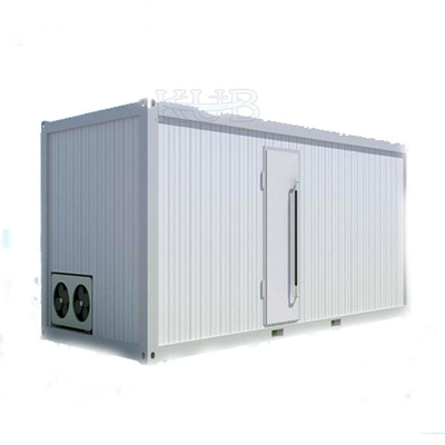 0 - 5 Degrees Celsius Cold Storage  PU Panels Room cold storage panel Hinger Swing Door 220V