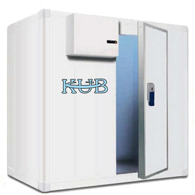 25℃ Cold Storage Subsidy Servicer Uk India 150m³ Cold Food Storage Room